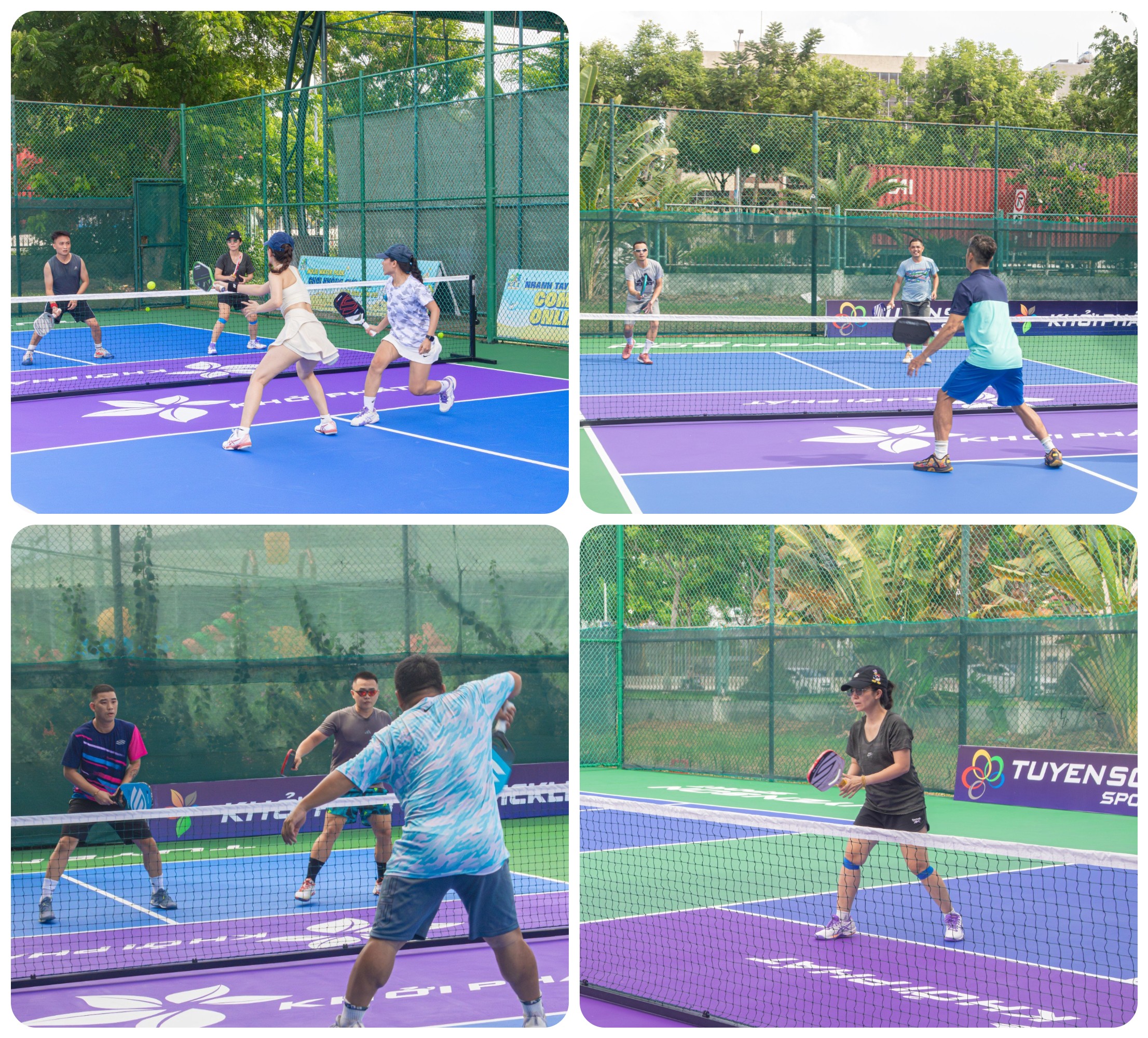 Pickleball Đà Nẵng